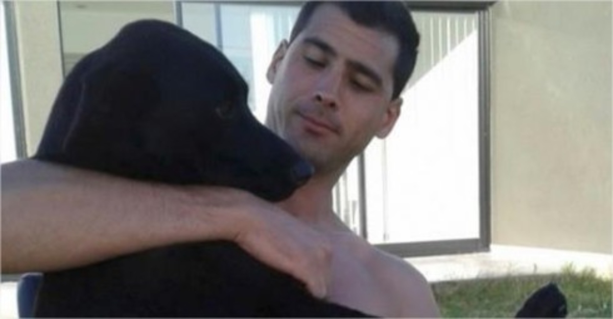 Este Hombre Busca Desesperadamente A Su Perrita: Incluso Ofrece Su ...
